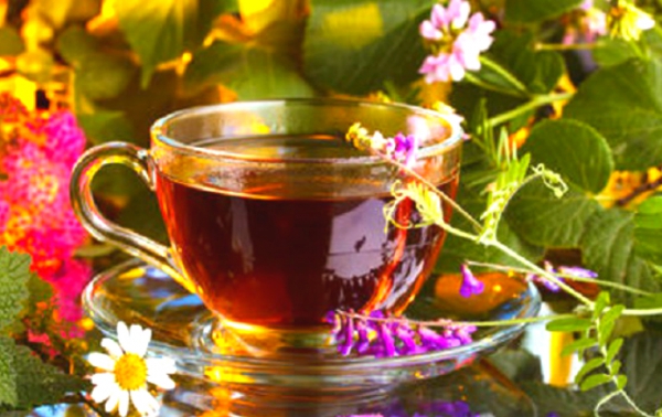 Травяной чай - ключ к улучшению здоровья