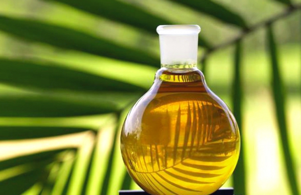Пальмовое масло в продуктах. Вредно или нет?