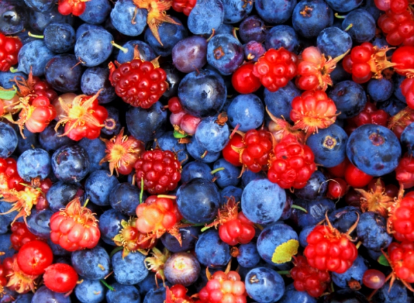 И приятно, и полезно: семерка самых вкусных и витаминных ягод