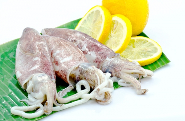 Секреты приготовления блюд из кальмаров