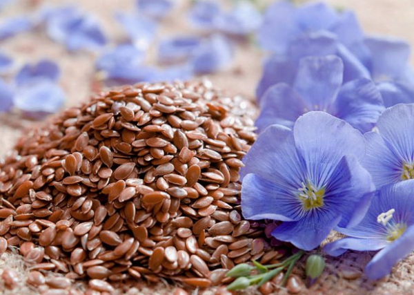 Семена льна - уникальное природное лекарство