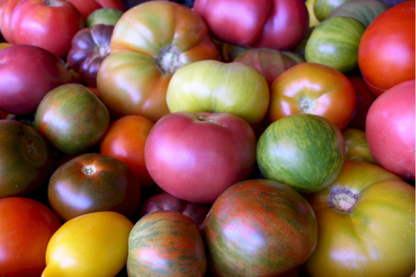 Что говорит цвет томатов об их вкусе?
