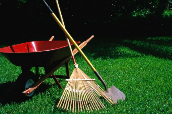 Как сделать весеннюю уборку в саду?