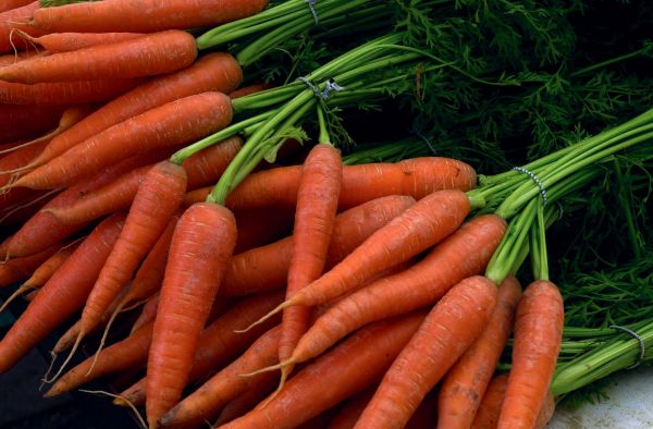 Как вырастить хорошую и полезную морковь